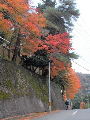 �L�n����L�n��א_�Ђ̐Βi���̍g�t