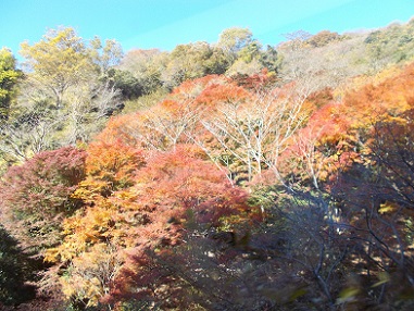 �Z�b�R�P�[�u���J�[����̒���