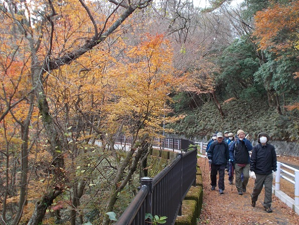 �Z�b�R�T�����C�Y�h���C�u�E�F�C