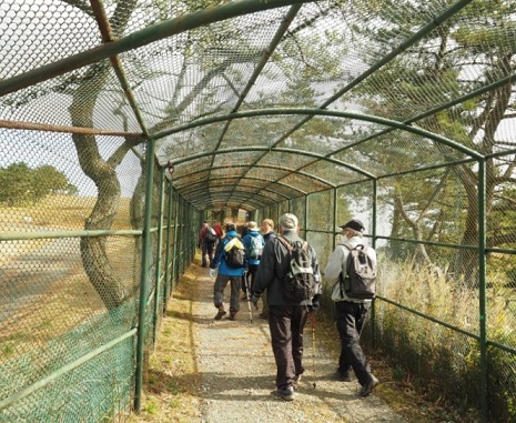 �Z�b�R�_�˃S���t��y��