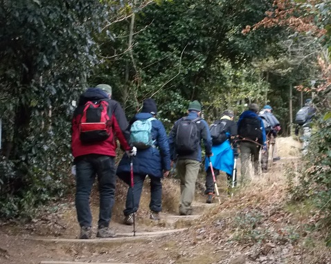 �V���R�E���J����