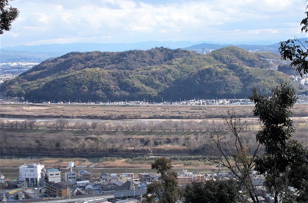 �V���R�E�v�ې�