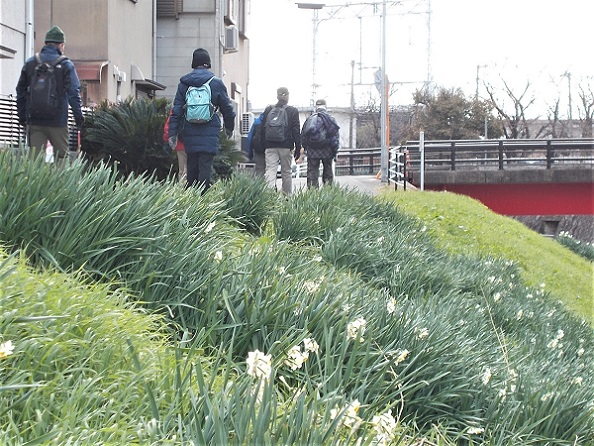 �V���R�E���q��