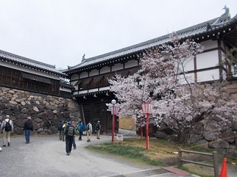 ��a�S�R�E�S�R���