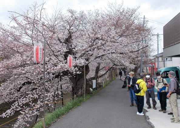 ���ې�̍��E��H��