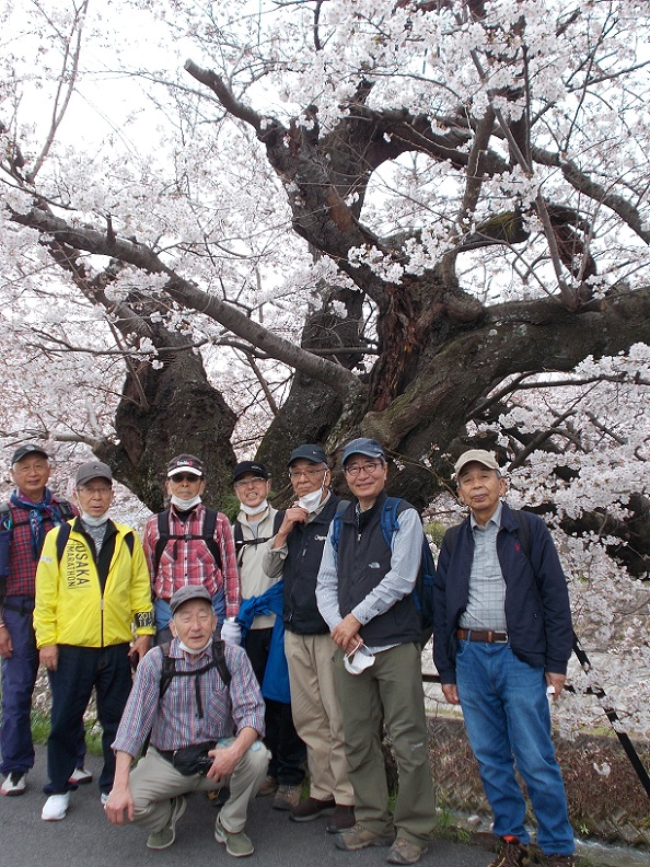 ���ې�̍��E��H��