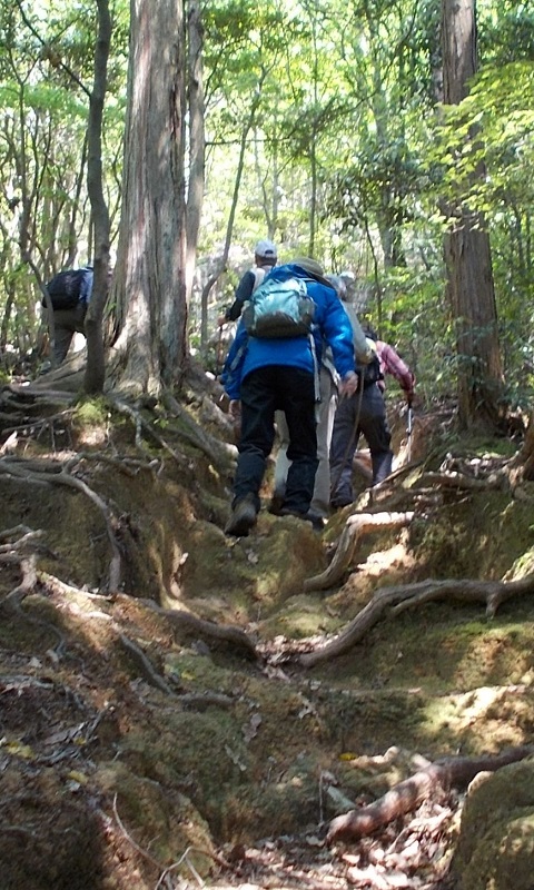 �L�n�x�m�E�o�R���[�g