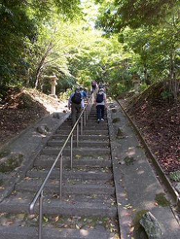 �߂򒹁E�p���V�c�͓��钷���ˑO