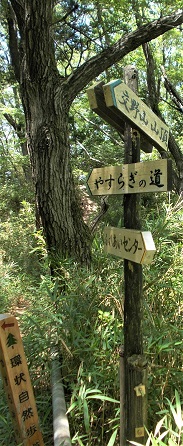 ���R�o�R��