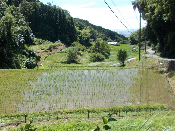 ���R�E�I�c