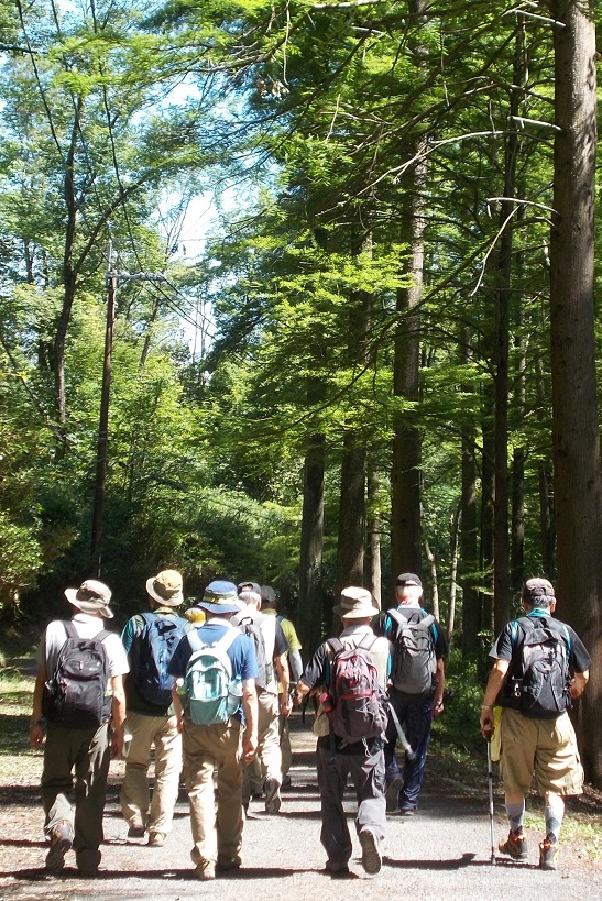 �����ǉ��n