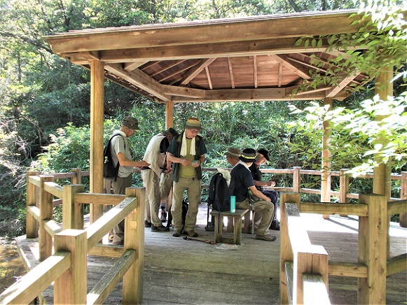 �����ǉ��n�E����