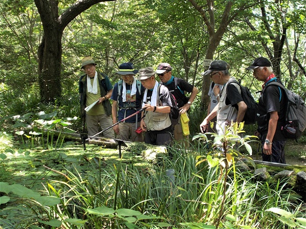 �������̂ӂꂠ���Z���^�[