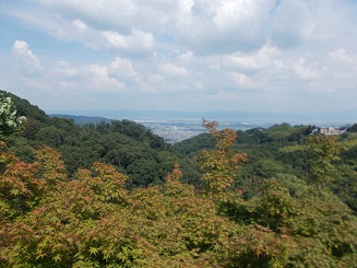 �M�M�R���쑷�q���E�Γ���