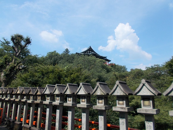 �M�M�R���쑷�q���E�Γ���