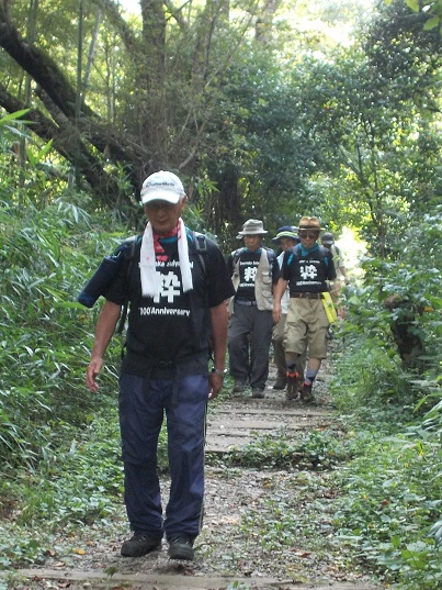 �M�M�R�E�P�[�u���Ճn�C�L���O��