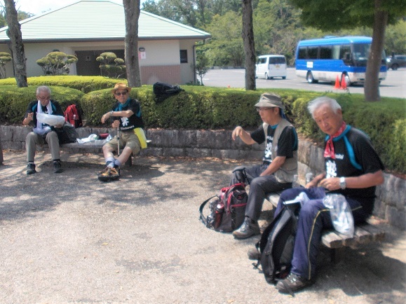 �_�ƌ��� �M�M�R�̂ǂ���