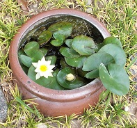 �����X���E�r�I�g�[�u