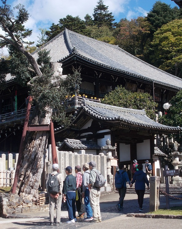 �ޗǎs�����܂��U��E�񌎓�