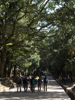 �ޗǎs�����܂��U��E�t�����