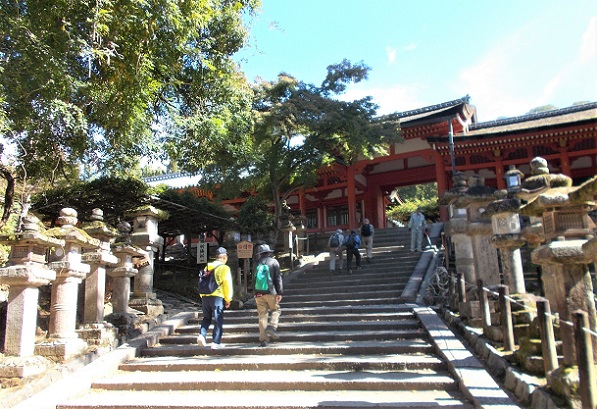 �ޗǎs�����܂��U��E�t�����