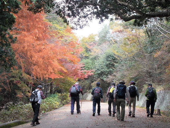 �b�R�E�y�o�R����}