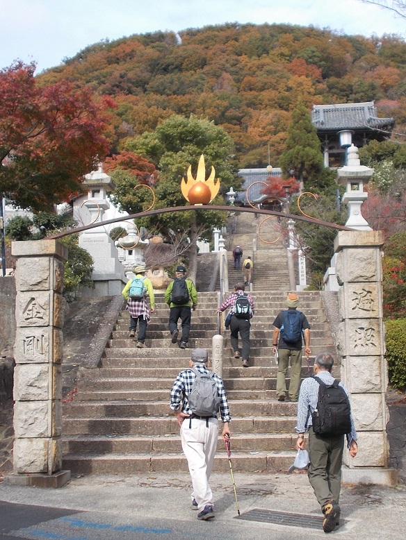 �b�R�E�b�R��t �_��