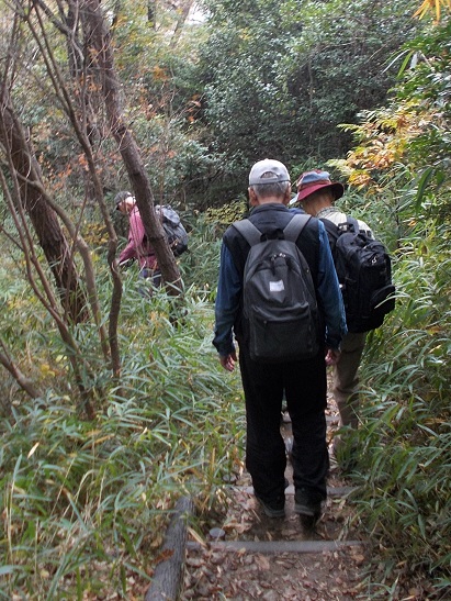 �b�R�E�y�o�R��