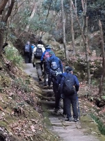 ���c�_�ЁE�s�������Q��