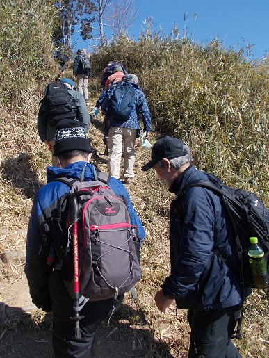 �O�D�R�E�ȗւ��牓�]