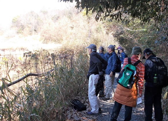 �O�D�R�E�o�R��