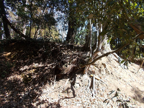 �O�D�R�E�y��