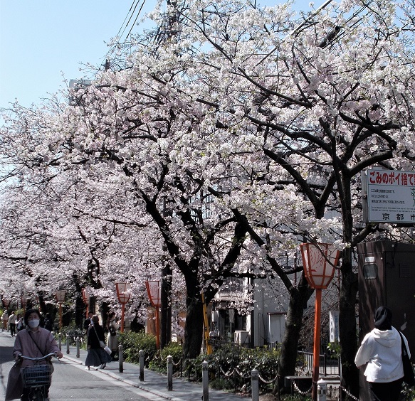 ���s�E���Ƃ̖��̐Տ���E�l���͌����E������