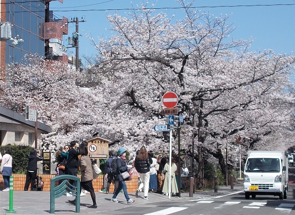 ���s�E���Ɩ��̐Տ���E�l���͌����E�؉���