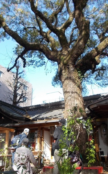 ���s�E���Ƃ̖��̐Տ���E����H�������_��