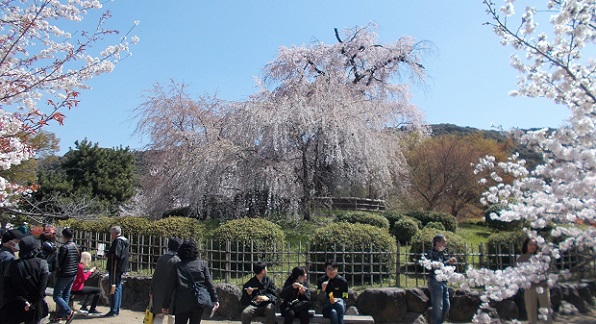 ���s�E���Ƃ̖��̐Տ���E�~�R�����E�_���}����