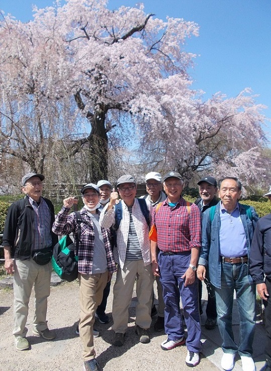 ���s�E���Ƃ̖��̐Տ���E�~�R�����E�_���}����