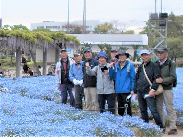 �����A�����E�l���t�B��