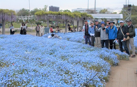 �����A�����E�l���t�B��