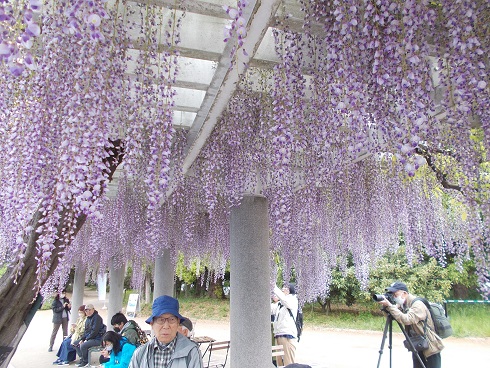 �����A�����E�m�_�t�W