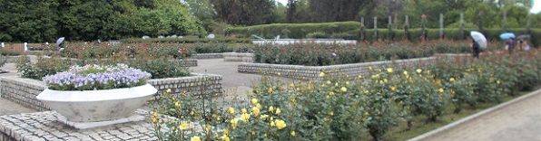 �����A�����E�o����