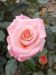 �����A�����E�o��