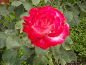 �����A�����E�o��