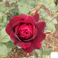 �����A�����E�o��