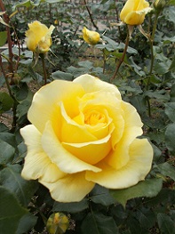 �����A�����E�o��