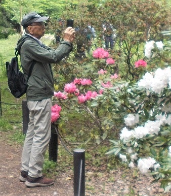 �����A�����E�V���N�i�Q