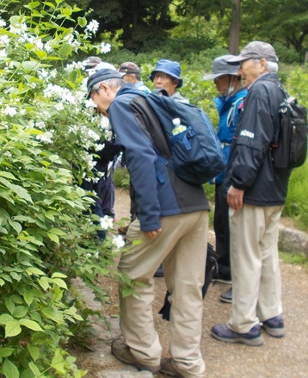 �����A�����E�E�c�M