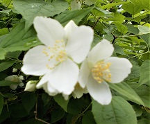 �����A�����E�E�c�M