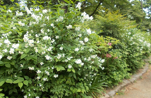 �����A�����E�E�c�M