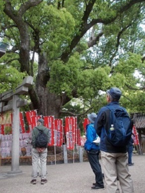 �Z�g��ЁE��N�ЁE���